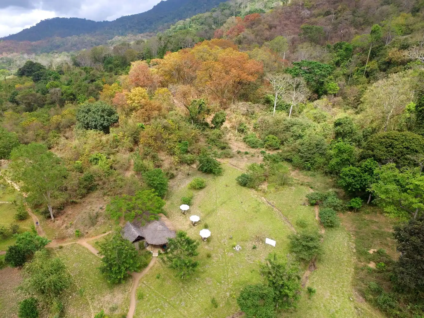 The lodge grounds from the air