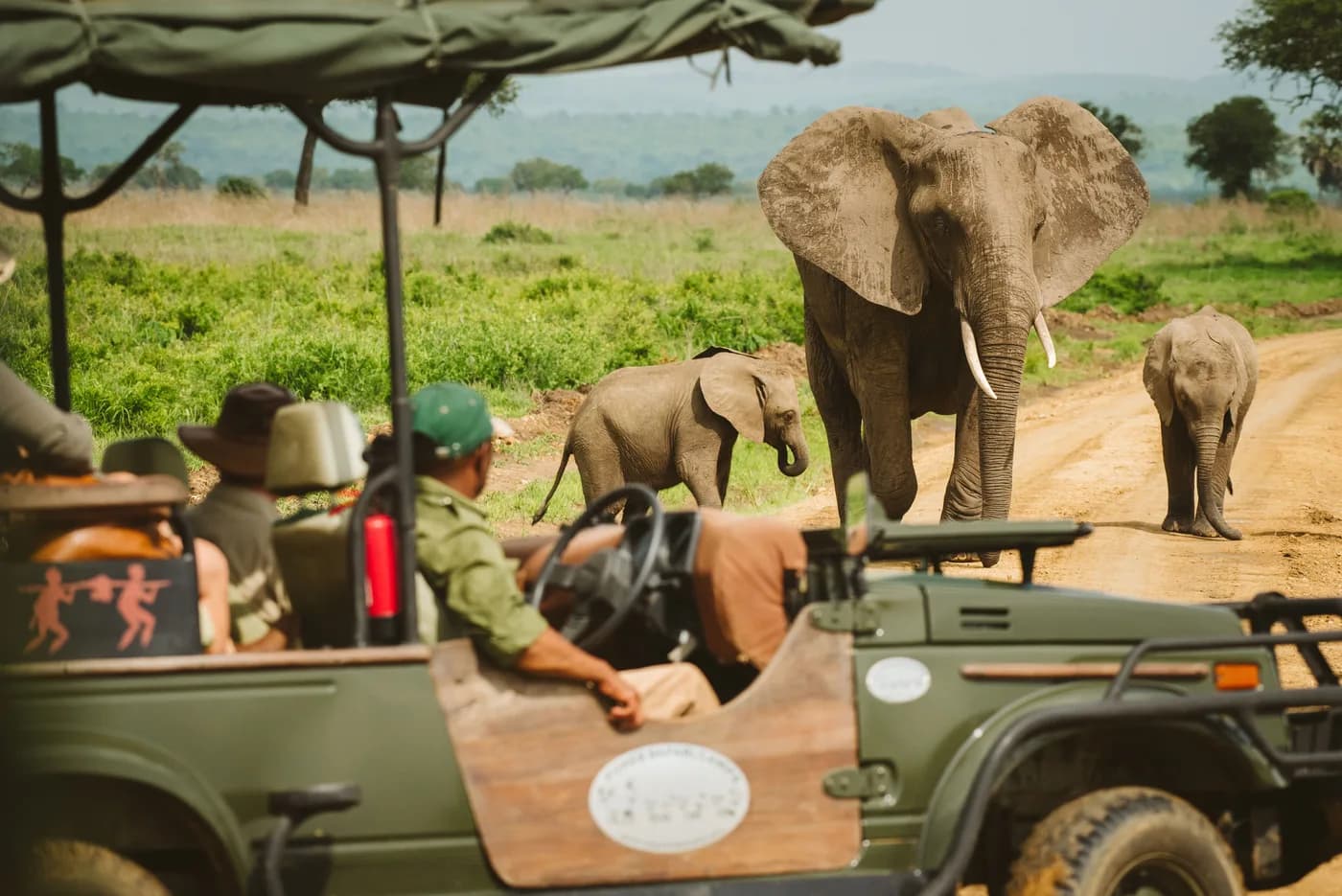 Elephants beside the game-drive vehicle