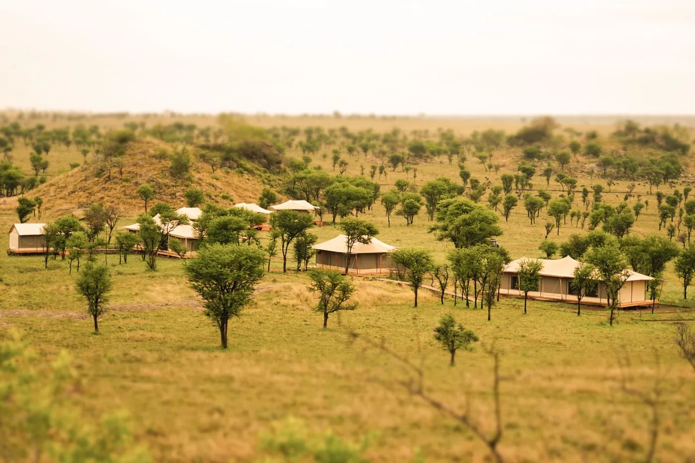 The camp on the Serengeti plains