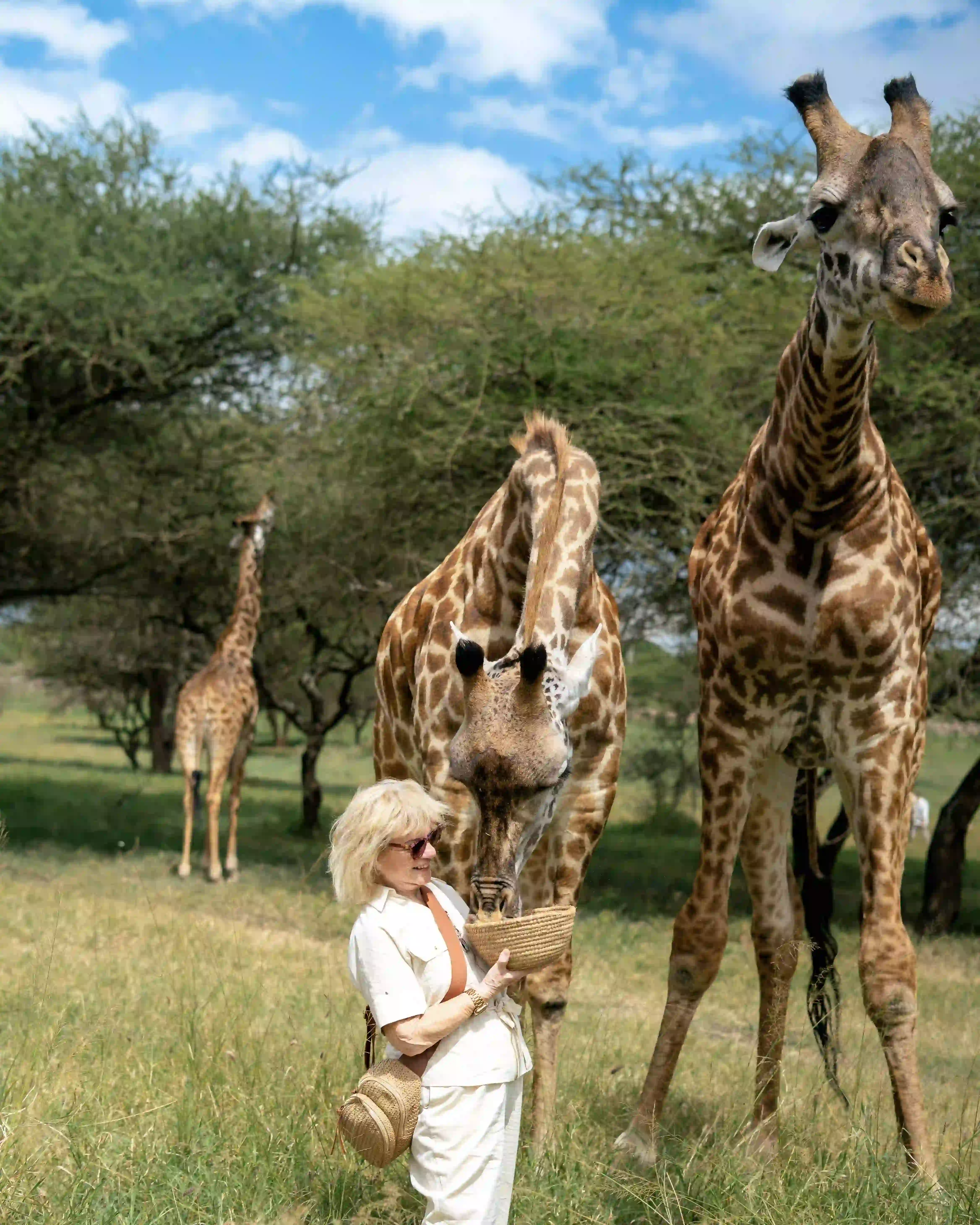 Woman with giraffe nuzzling hat on her head