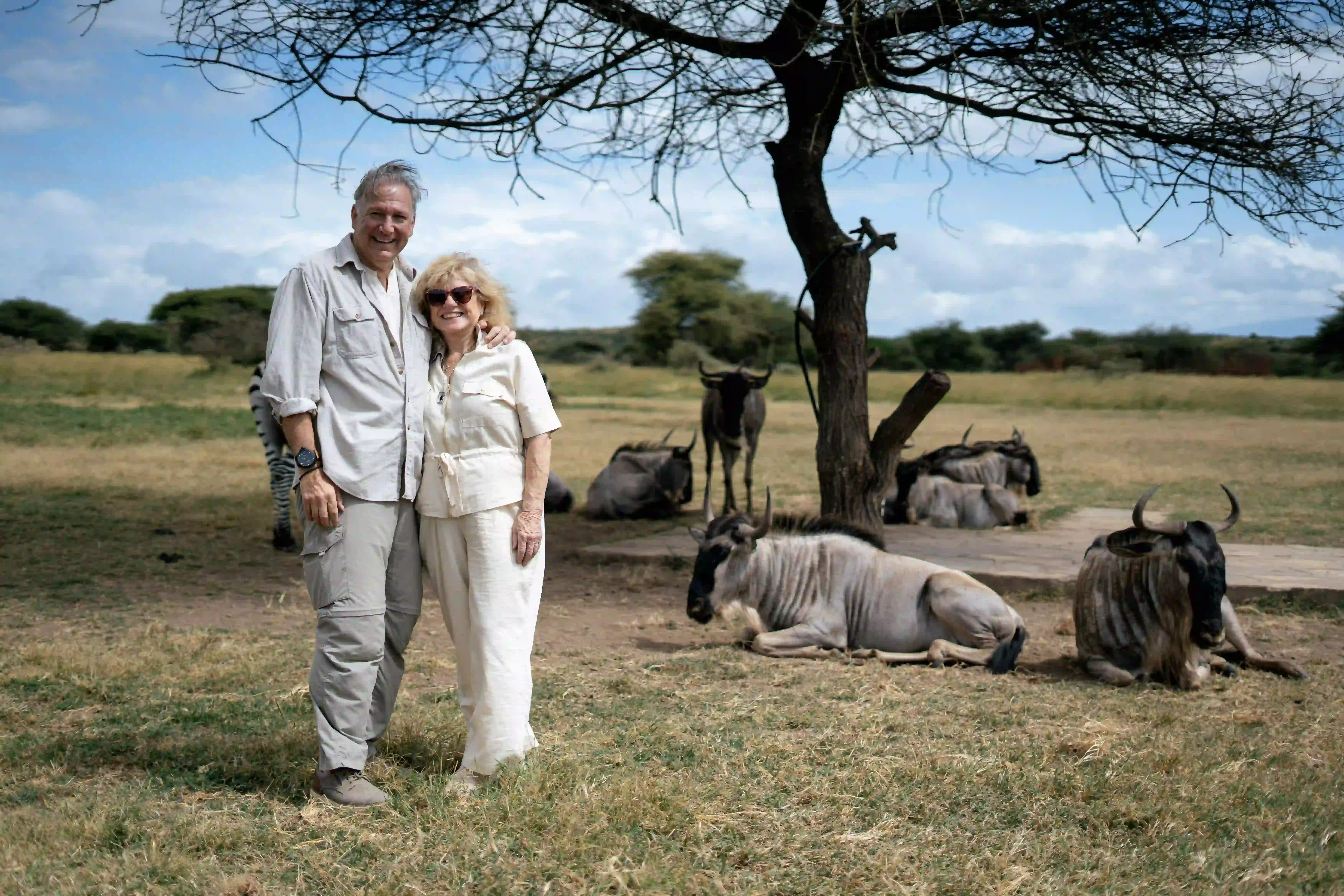 Couple beside resting wildebeest under tree