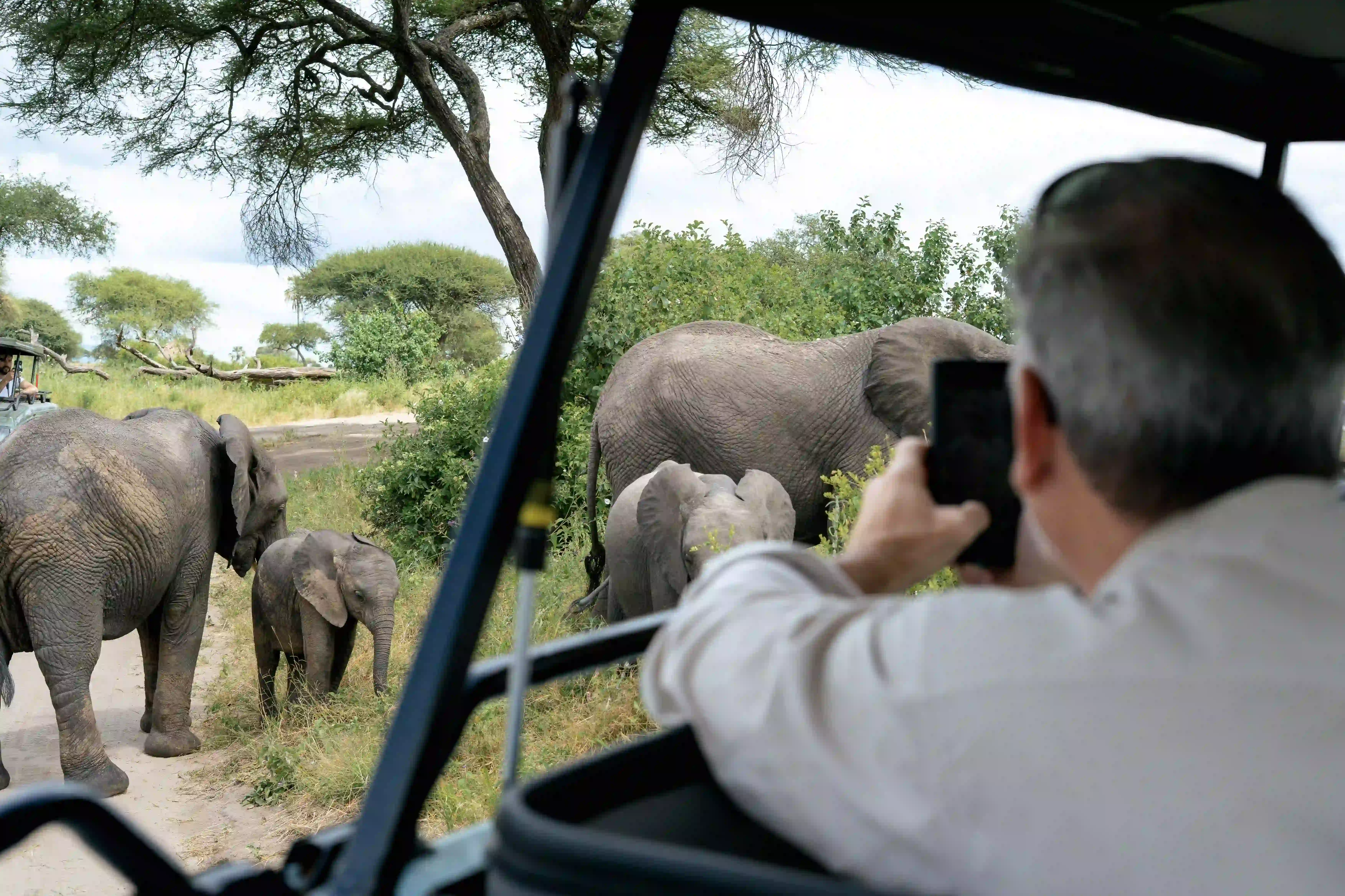 Guest photographing elephant family from vehicle