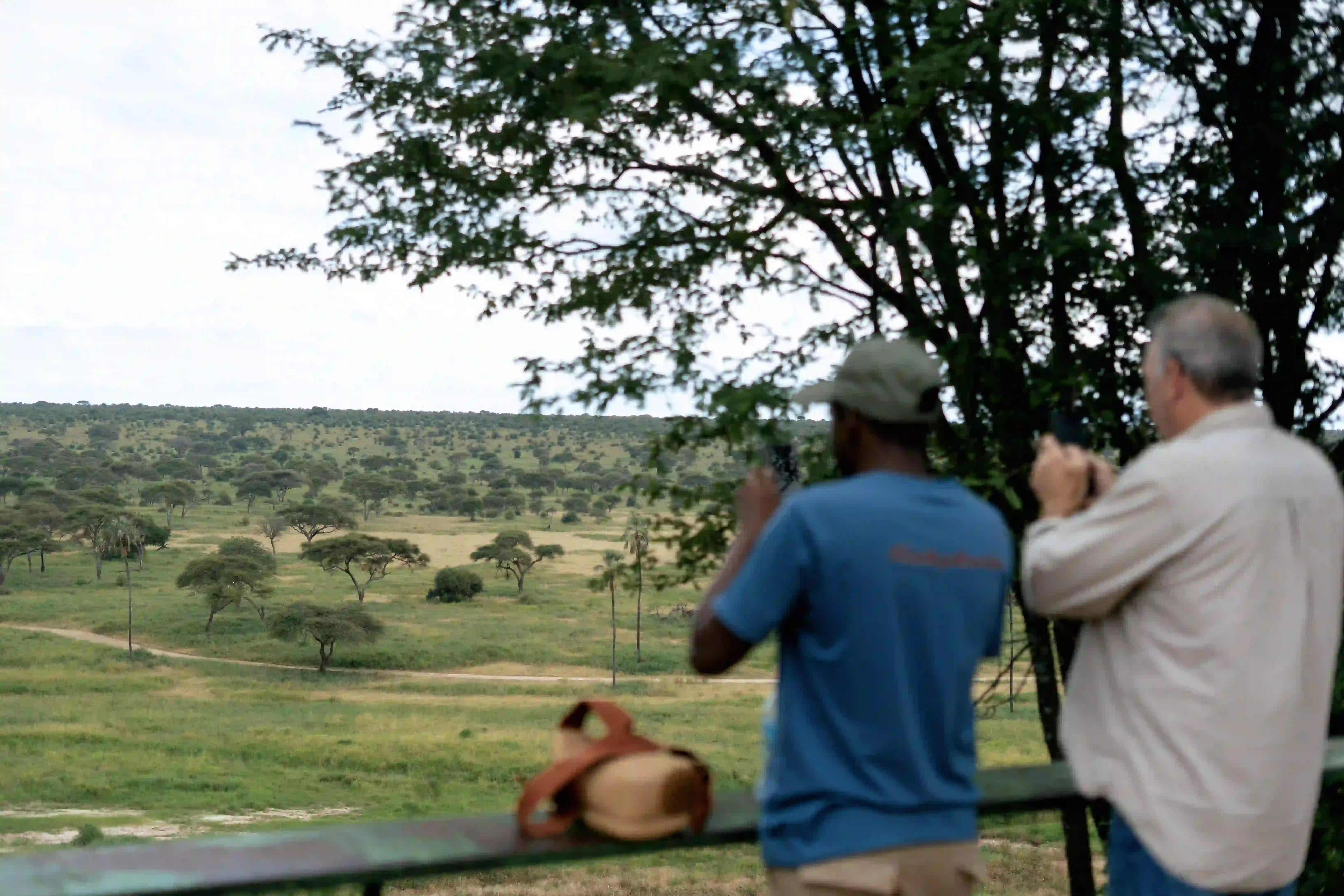 Guide and guest photographing savanna landscape