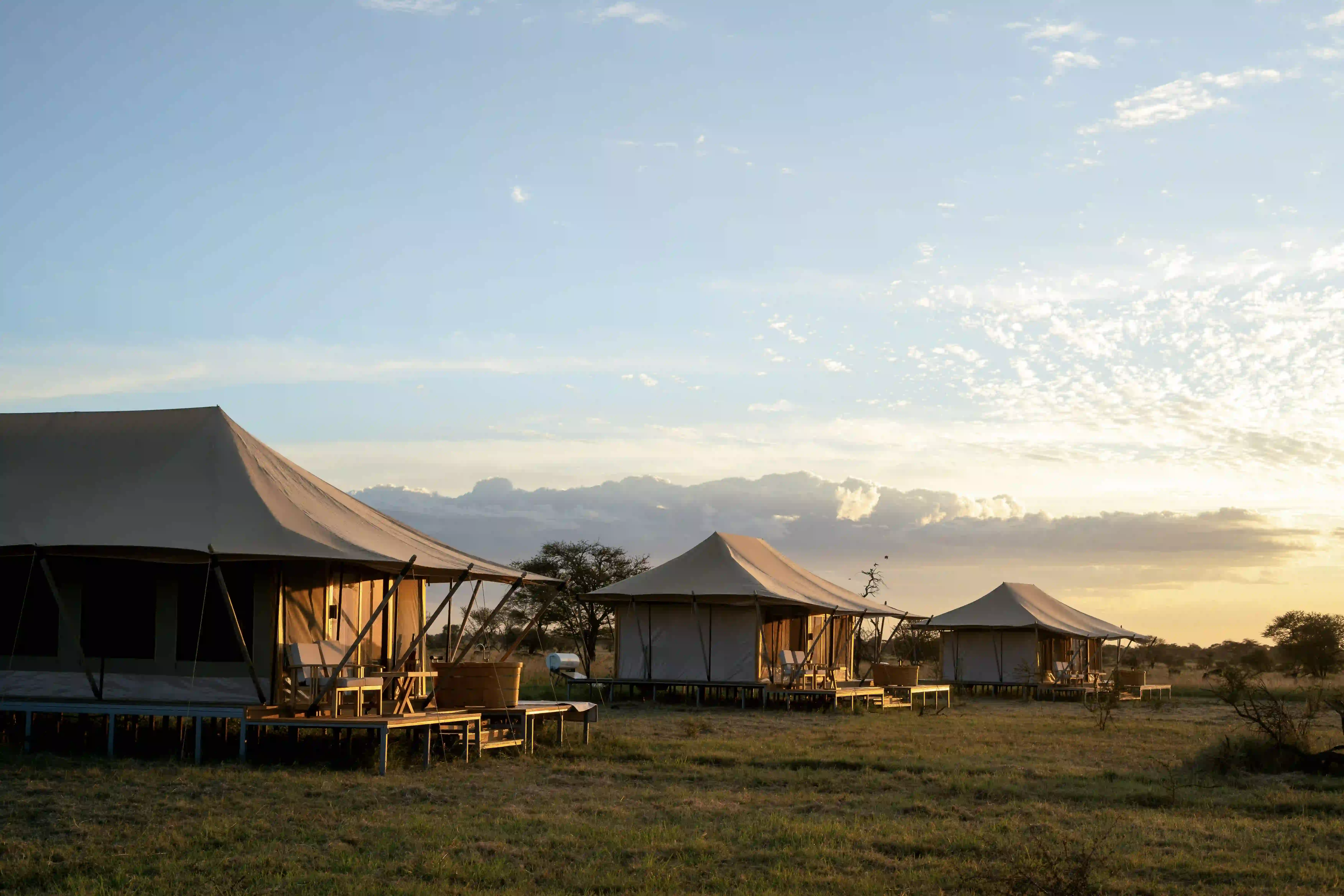Row of luxury safari tents at dusk