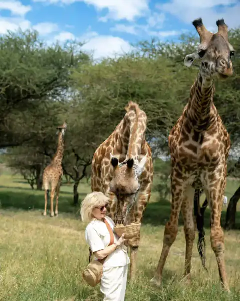 Woman with giraffe nuzzling hat on her head