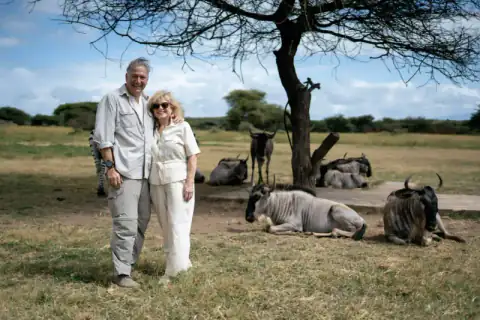 Couple beside resting wildebeest under tree