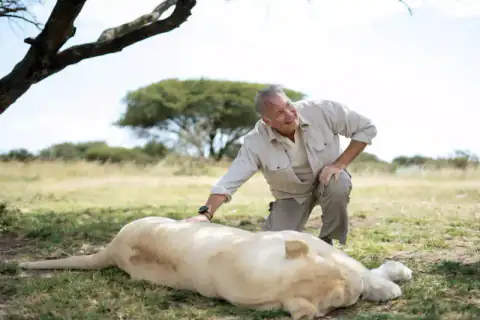Man crouching beside a sleeping white lion