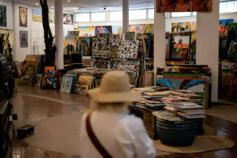 Woman browsing artwork in curio shop