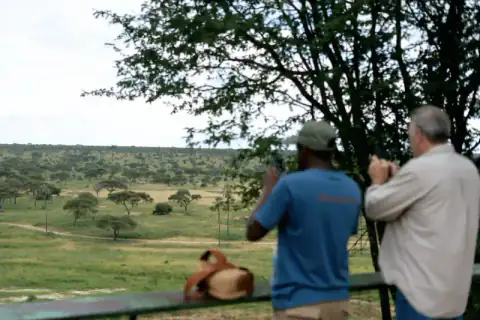 Guide and guest photographing savanna landscape