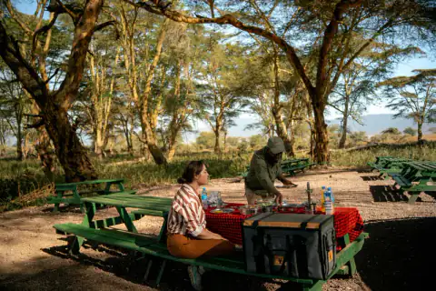 Guest at the picnic table as a baboon moves in