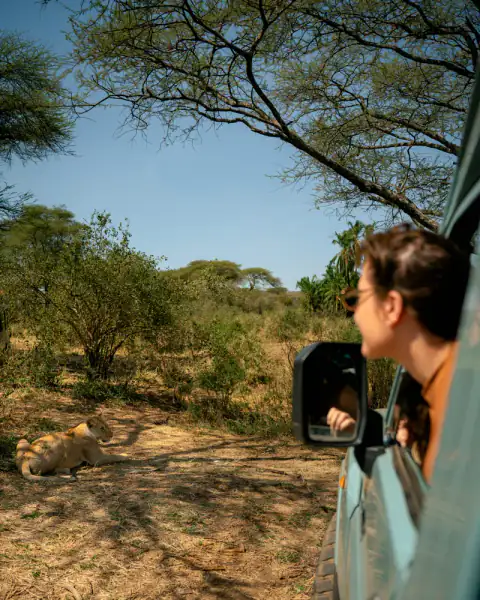 Watching the bush from the vehicle window