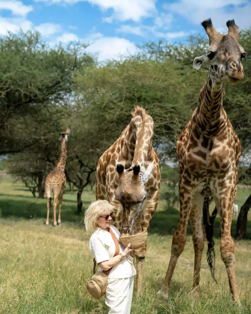 Woman with giraffe nuzzling hat on her head
