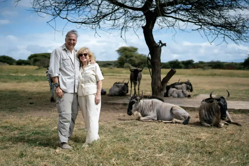 Couple beside resting wildebeest under tree