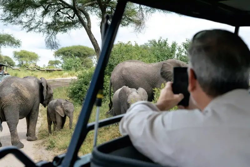 Guest photographing elephant family from vehicle