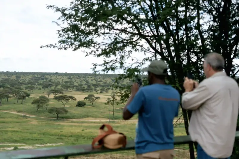 Guide and guest photographing savanna landscape
