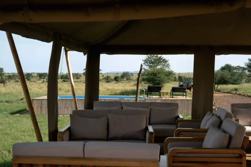 Pool deck and lounge chairs at tented camp