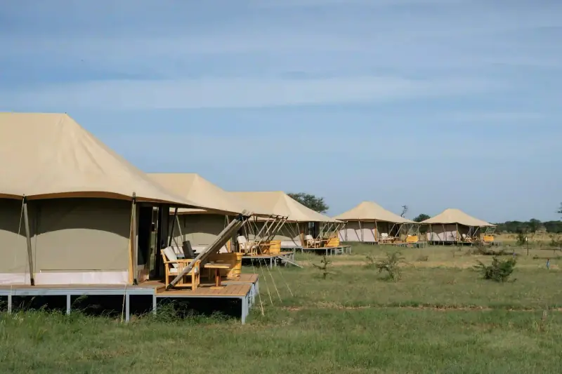 Row of safari tents with wooden decks