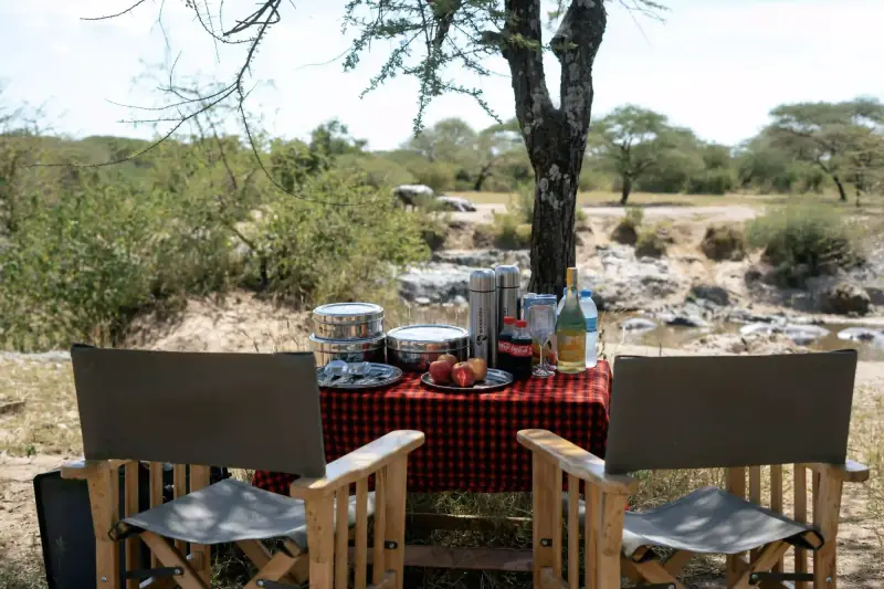 Bush lunch table set with branded thermoses