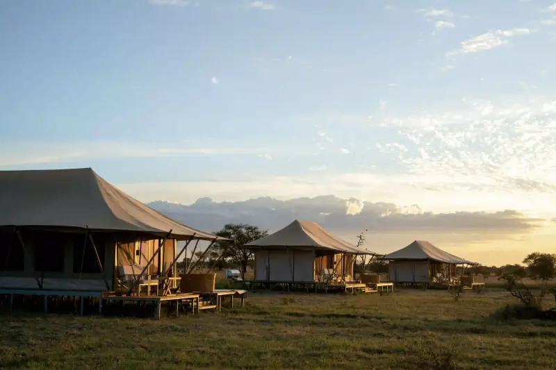 Row of luxury safari tents at dusk