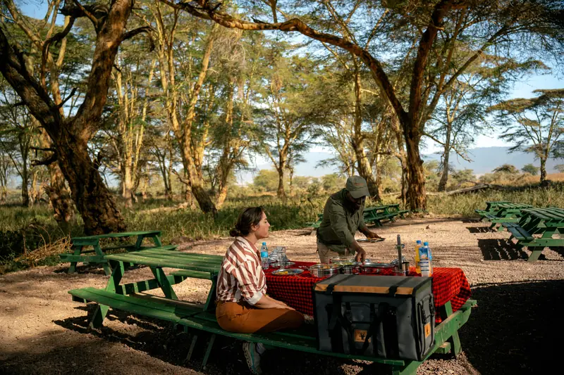 Guest at the picnic table as a baboon moves in