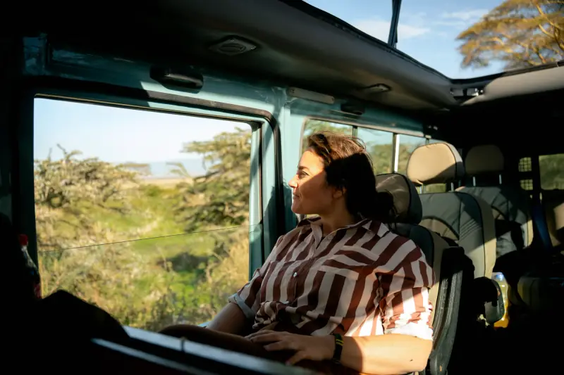 Guest looking out of the safari vehicle window