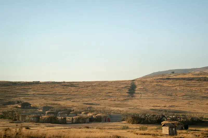 Maasai boma on the hillside at first light