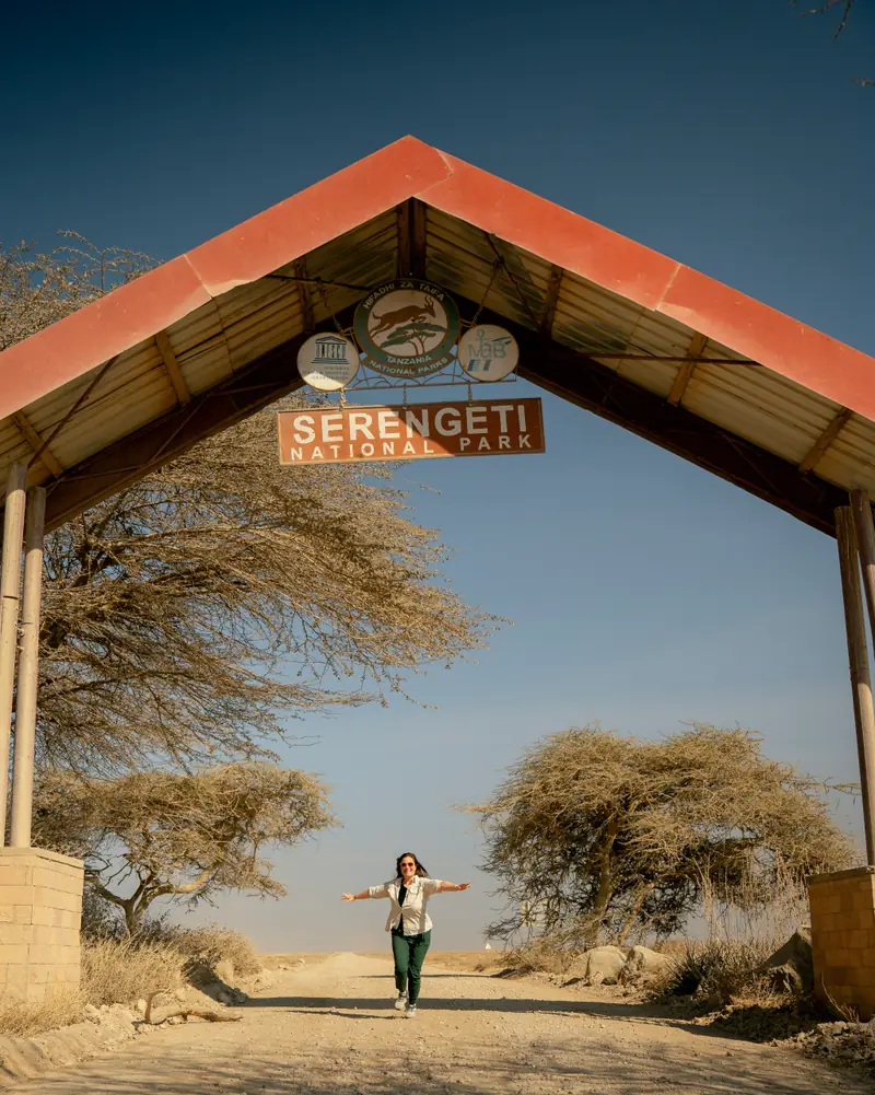 Timber arch of the Serengeti gate against a bare sky
