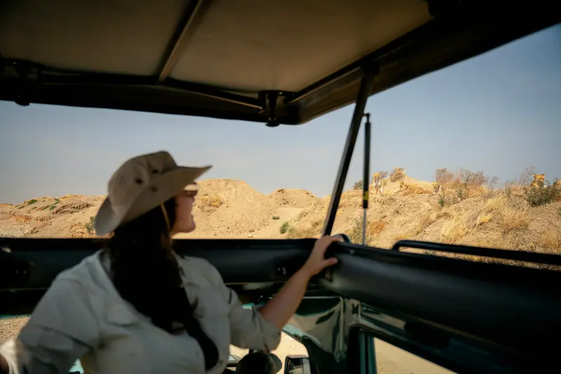Scanning the plains from the open-roof vehicle