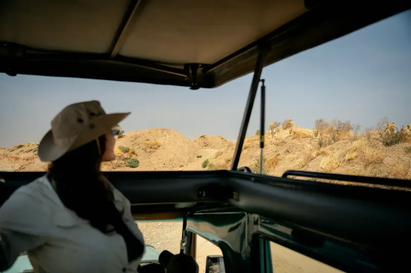 Guest watching the plains from the open-roof vehicle