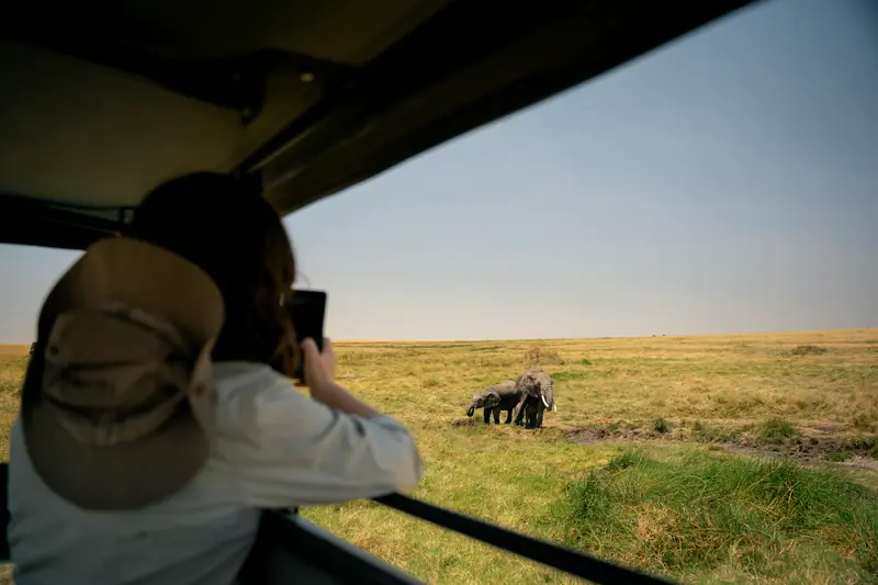 Guest photographing warthogs from the vehicle