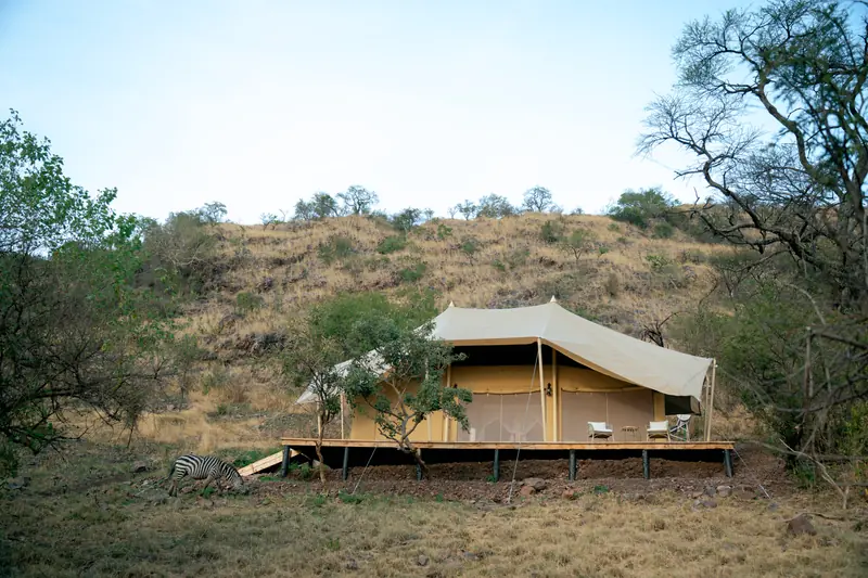 Guest tent set into the hillside at camp