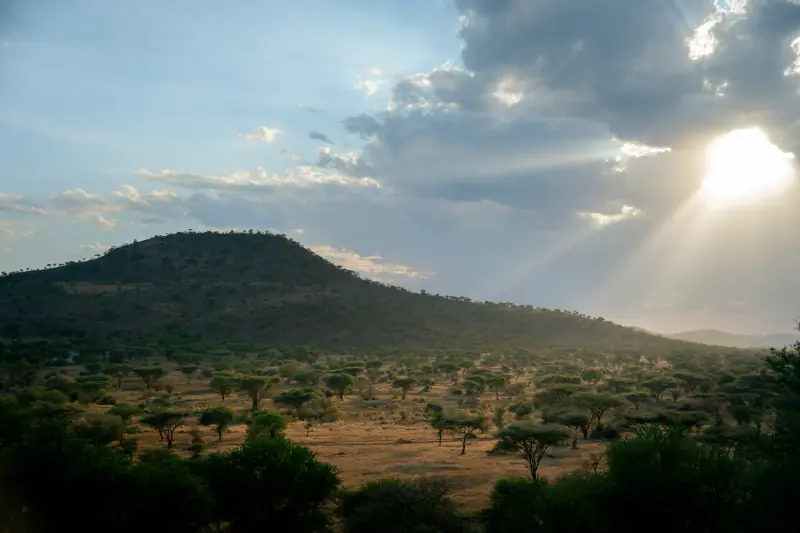 Sunbeams breaking over a Serengeti hill