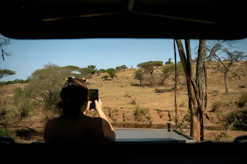 Photographing the bush from the open roof