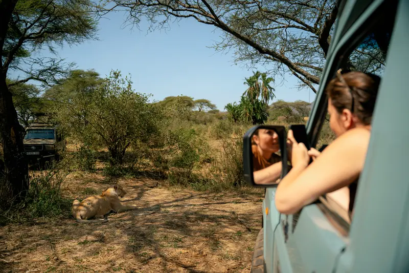 Leaning from the window on a game drive