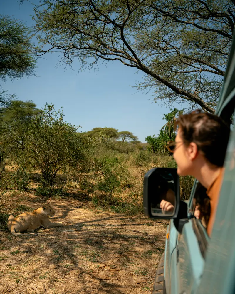 Watching the bush from the vehicle window