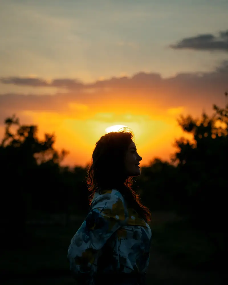 Guest silhouetted against a Serengeti sunset