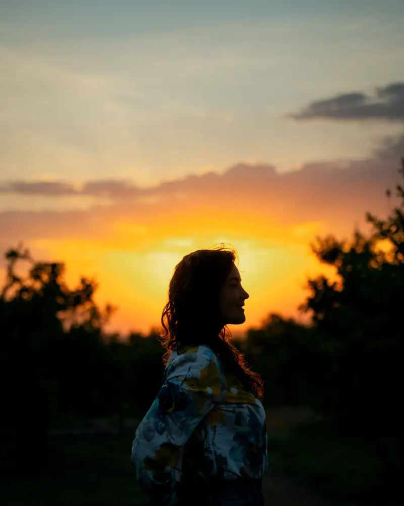 Profile against the last of the sun