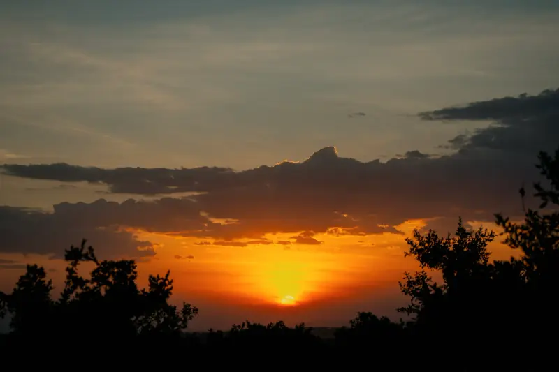 Sun setting behind the Serengeti treeline