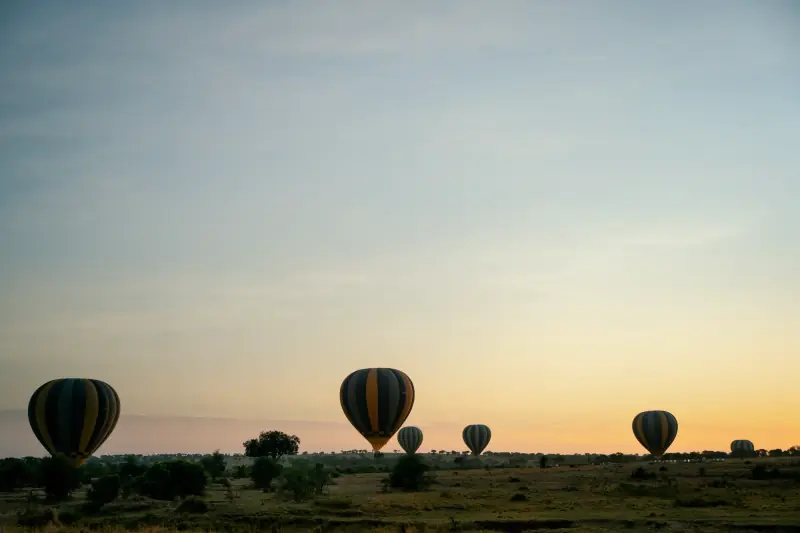 Balloons lined up on the horizon at sunrise