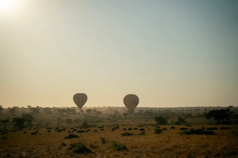 Two balloons over the open plains at sunrise