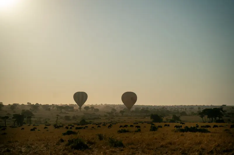 Balloons on the horizon above the grassland