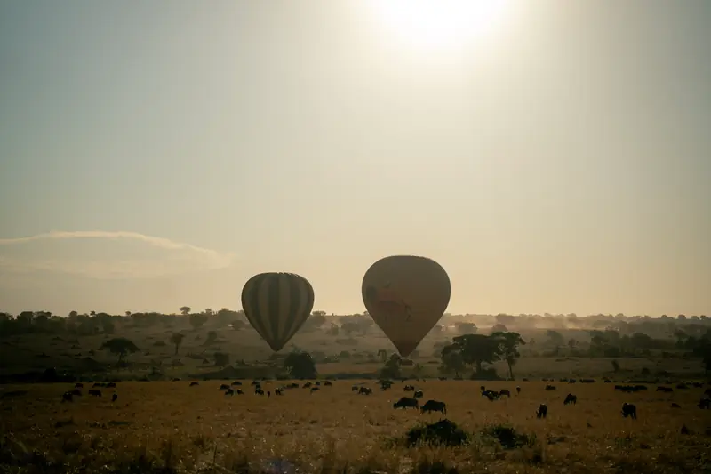 Balloons silhouetted under the rising sun