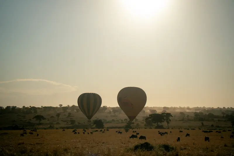Two balloons crossing the early morning sky