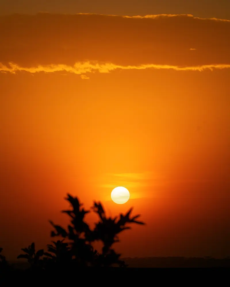 Sun settling onto the Serengeti treeline