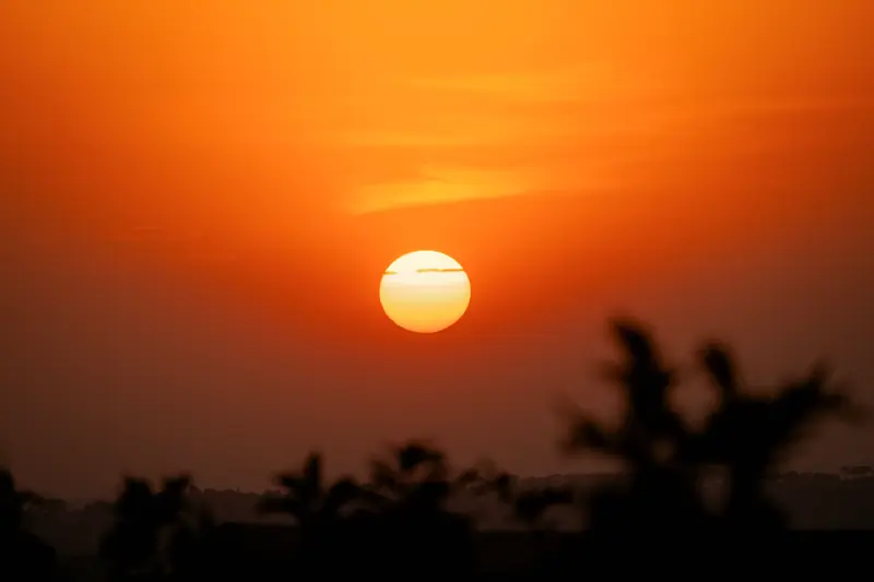 Last light over the silhouetted bush