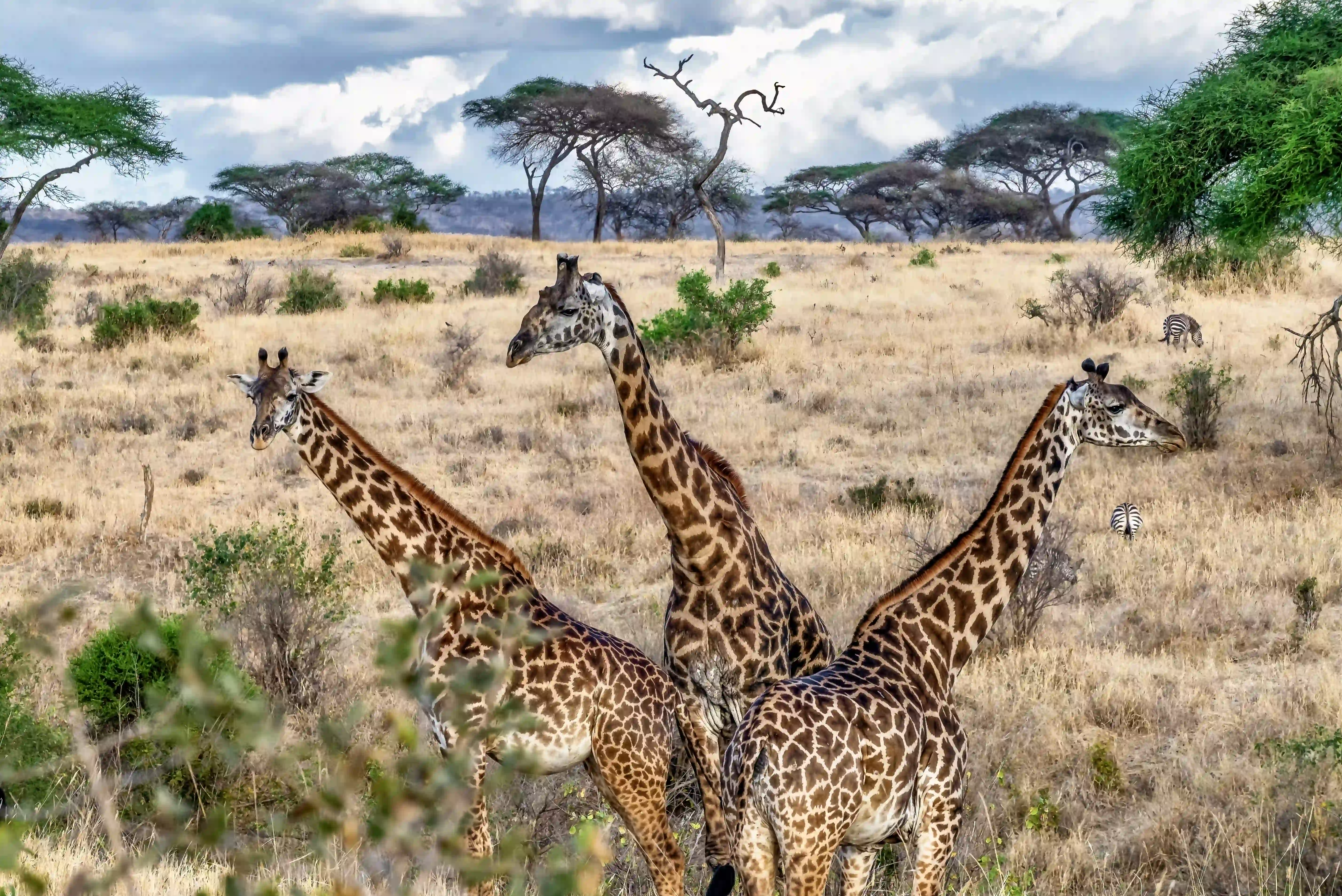 Arusha National Park – photo 2