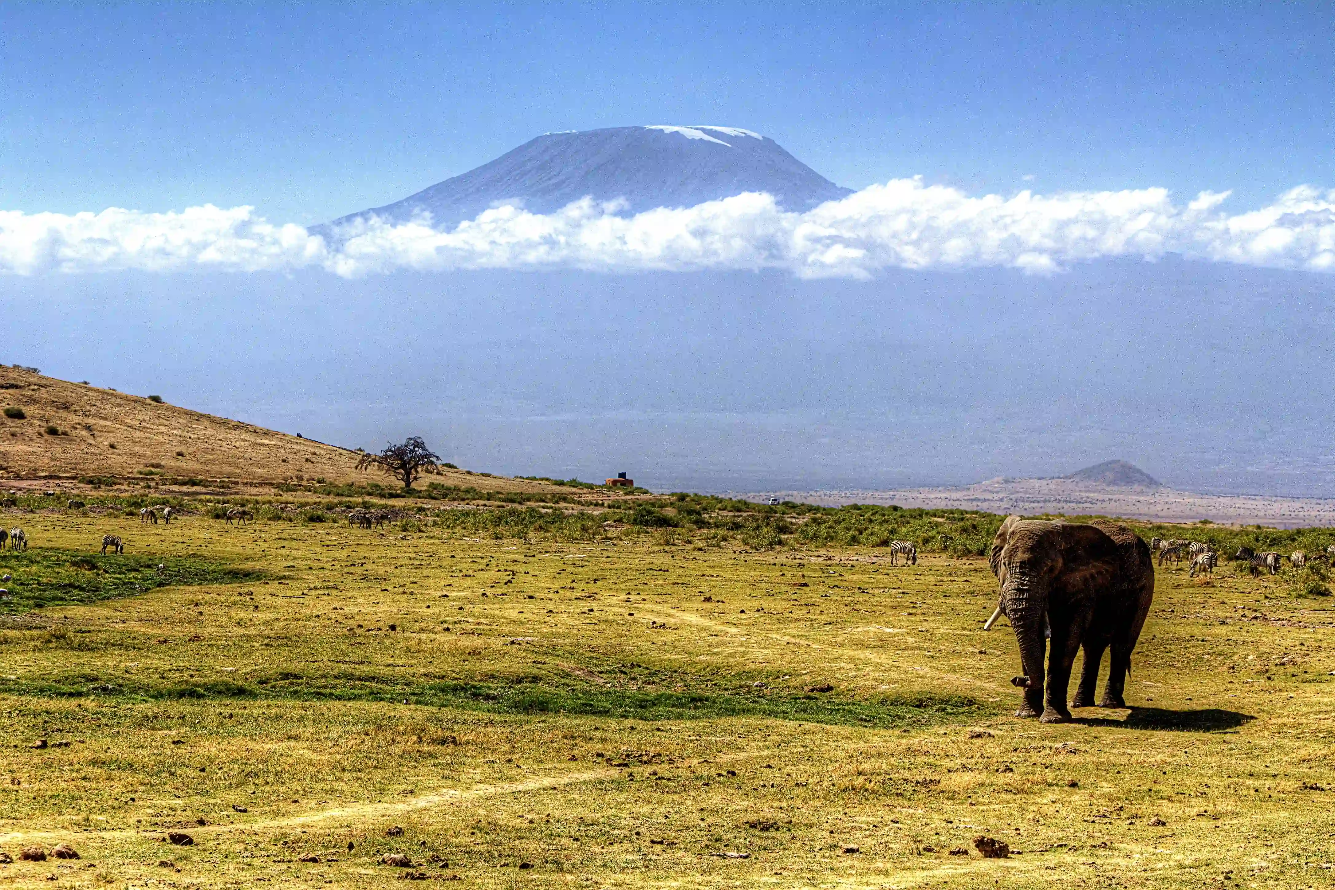 Arusha National Park