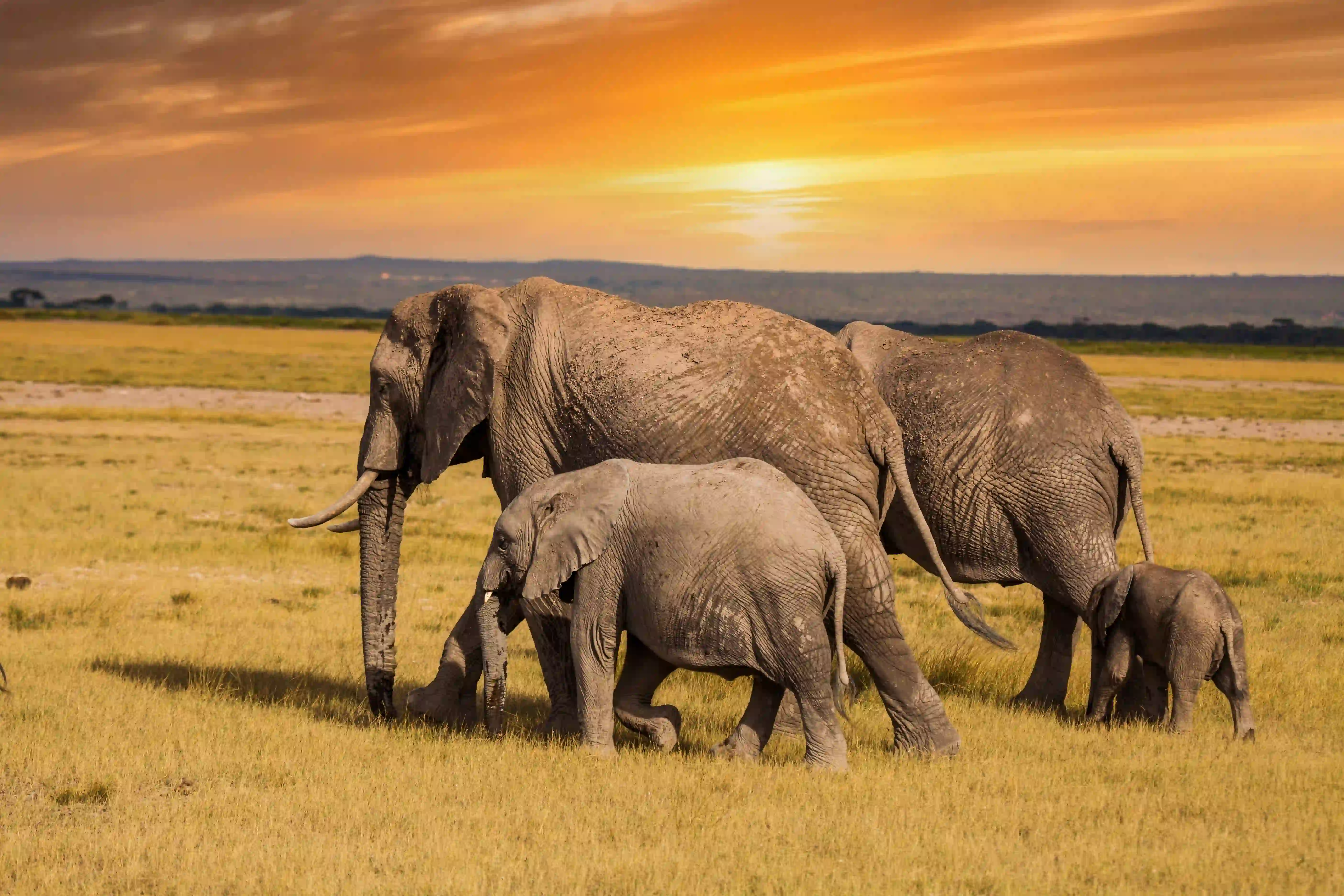 Ngorongoro Crater Floor