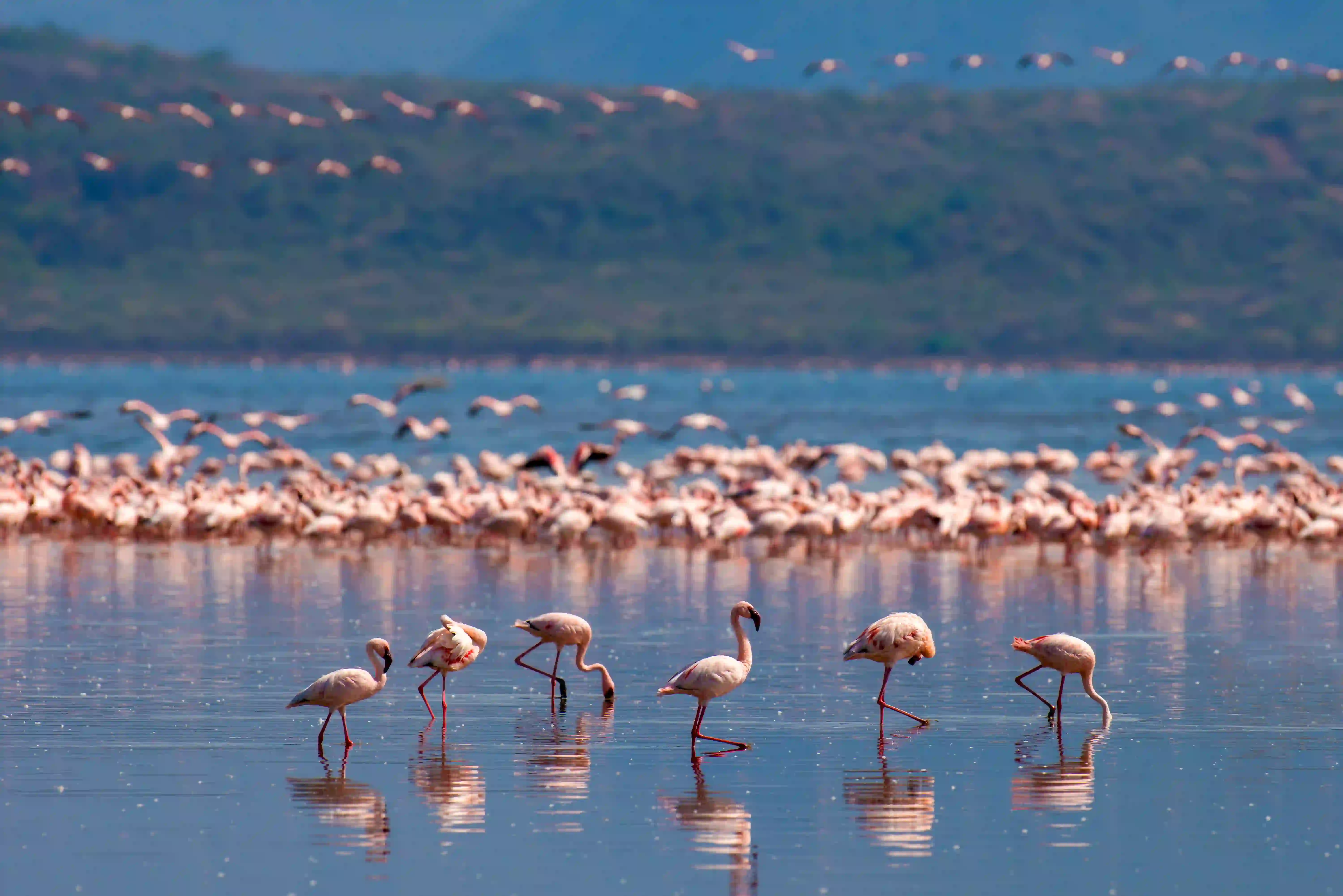 Ngorongoro Crater – photo 3