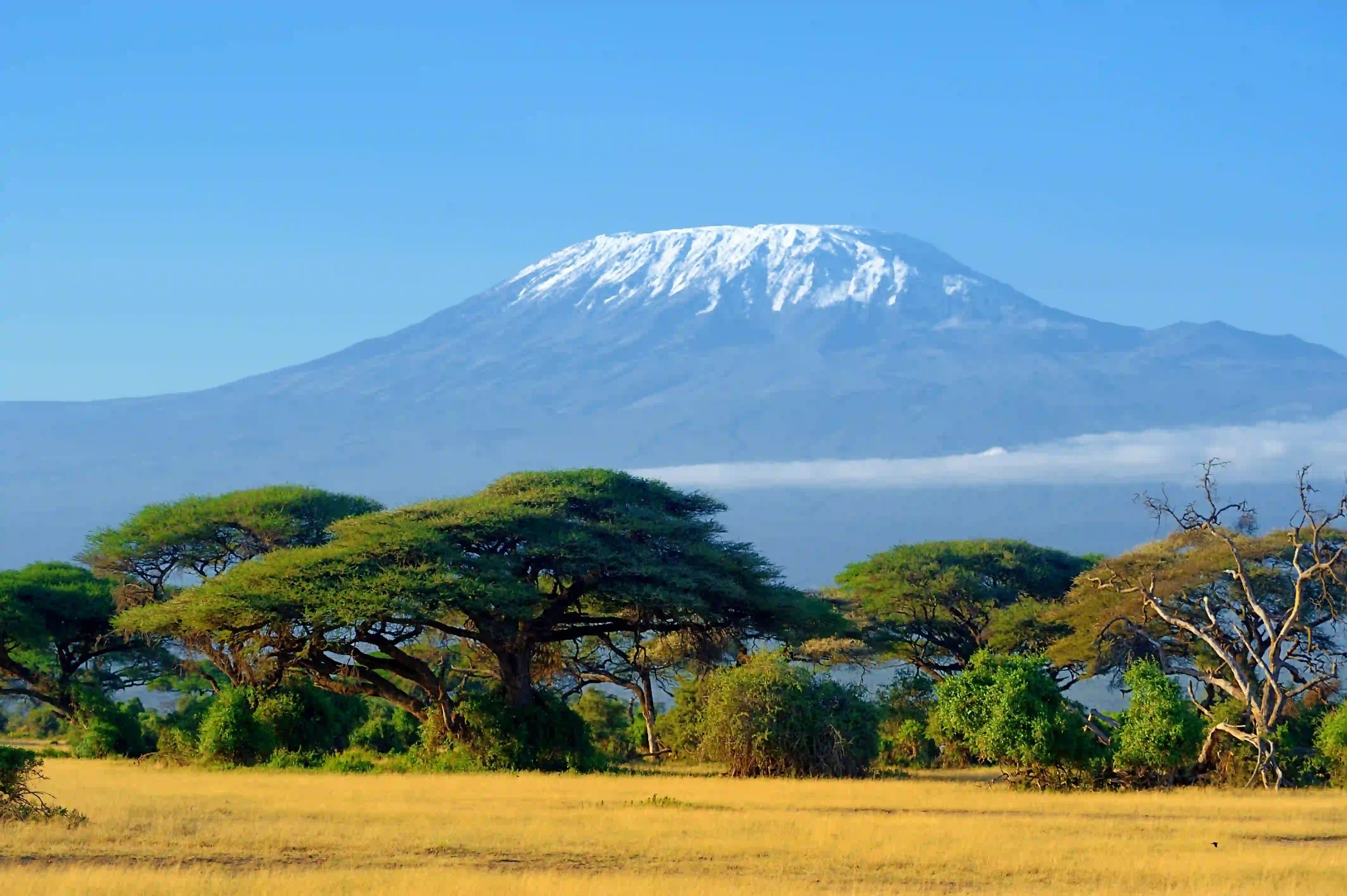 Mount Meru Climb Guide: Angel’s Complete Trekking and Safari Planning Guide – photo 6